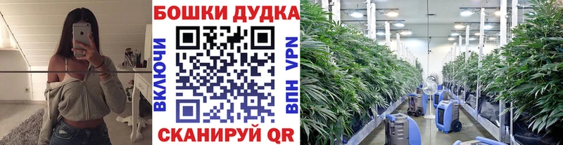 Бошки марихуана сатива  даркнет сайт  мега ссылки  Белинский 